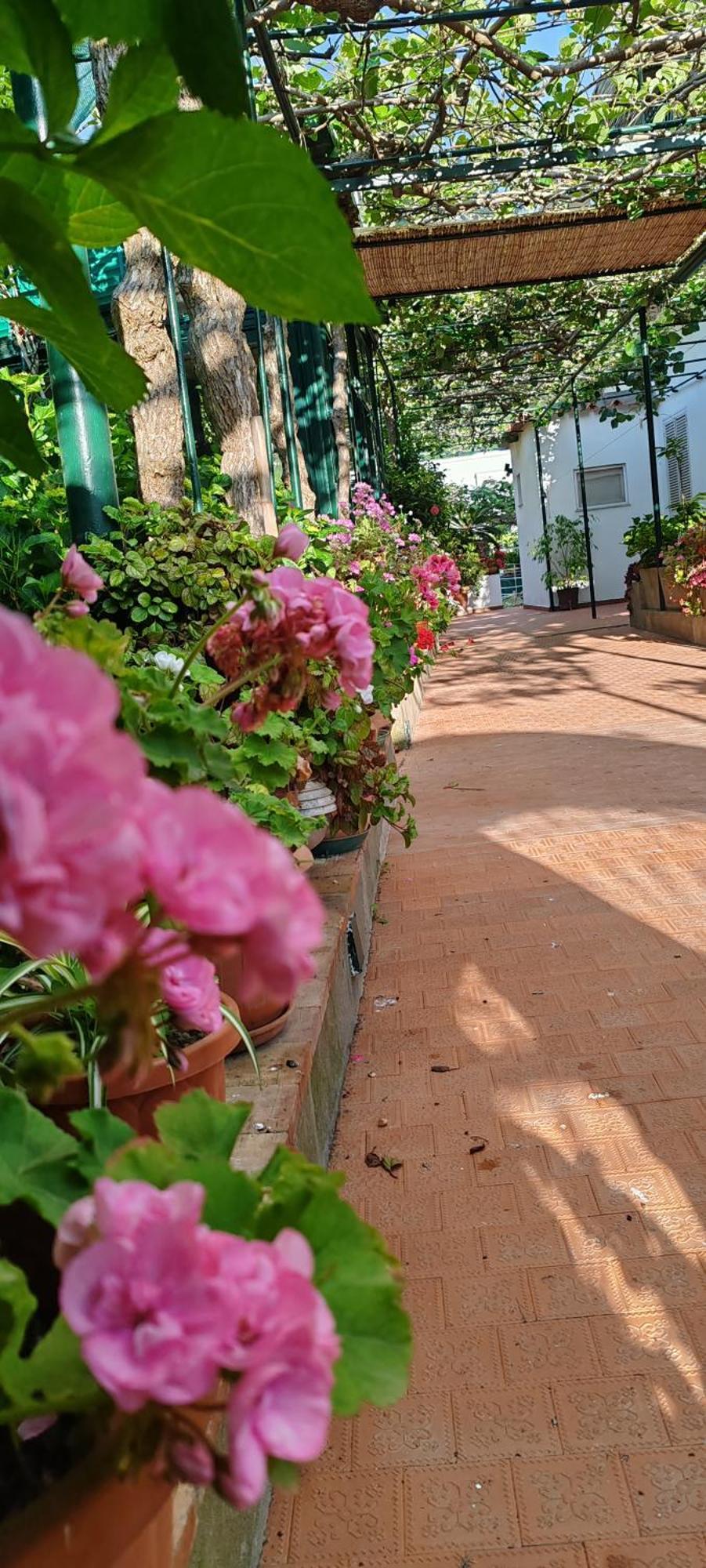 Villa Dei Fiori B&B Capri Exterior foto